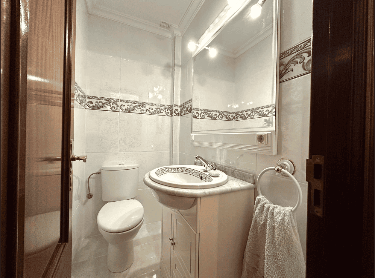 captura de pantalla (232)