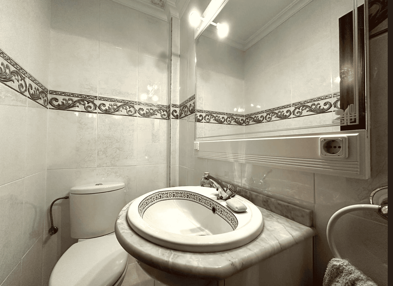 captura de pantalla (233)