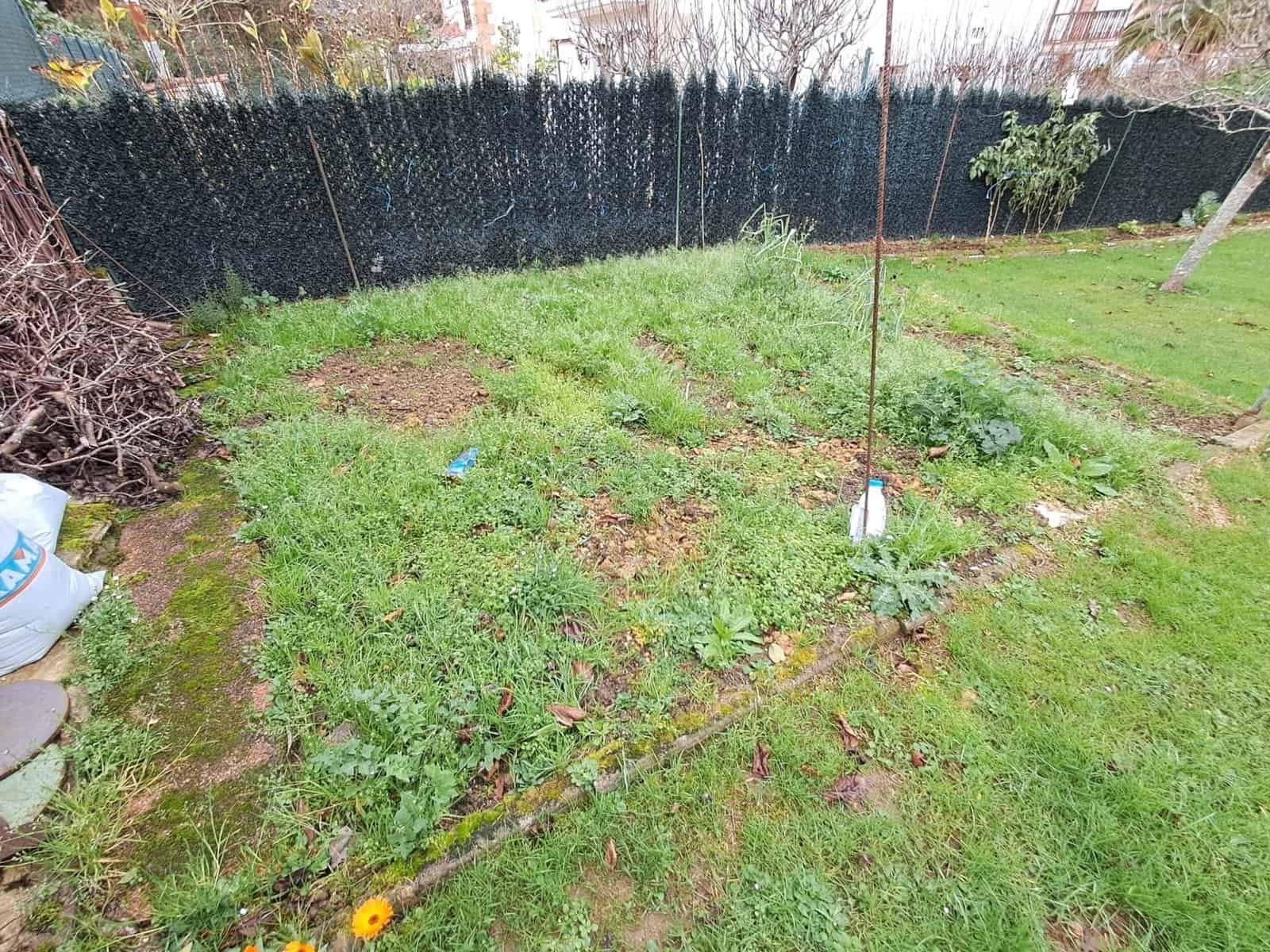 whatsapp image 2026 01 16 at 18.25.28 (1)