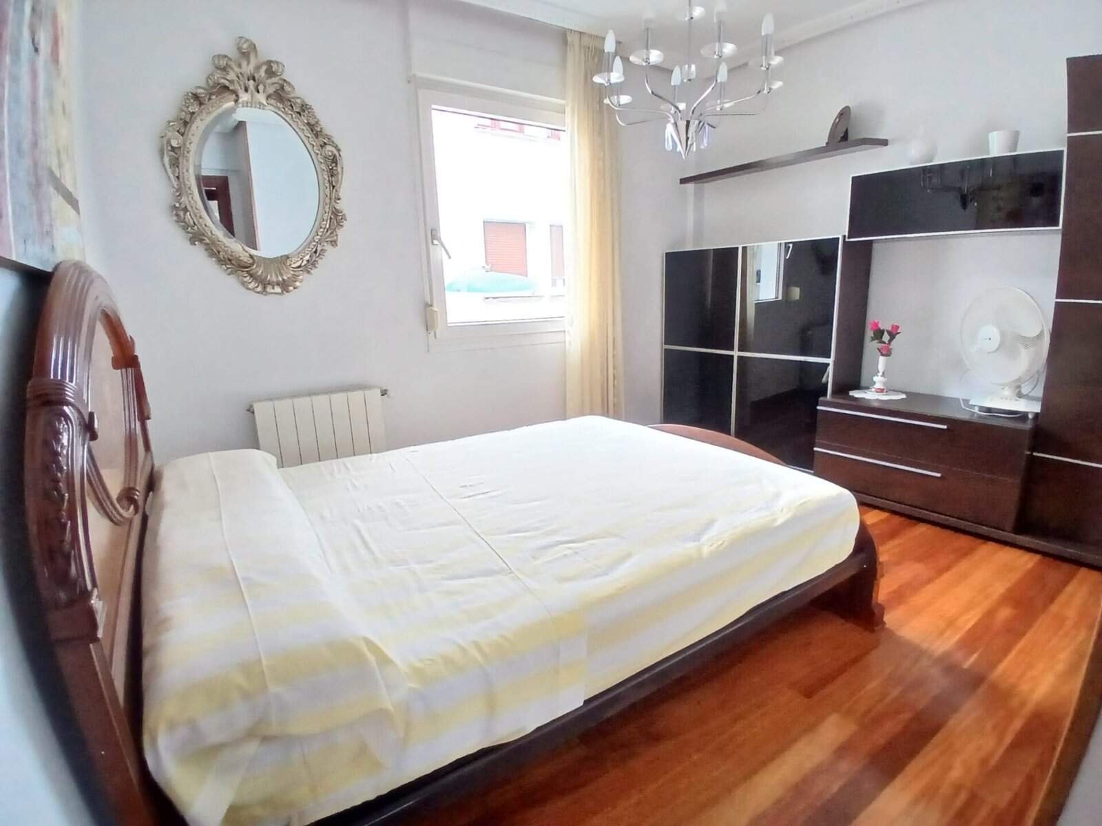 whatsapp image 2026 02 11 at 11.30.18 (3)