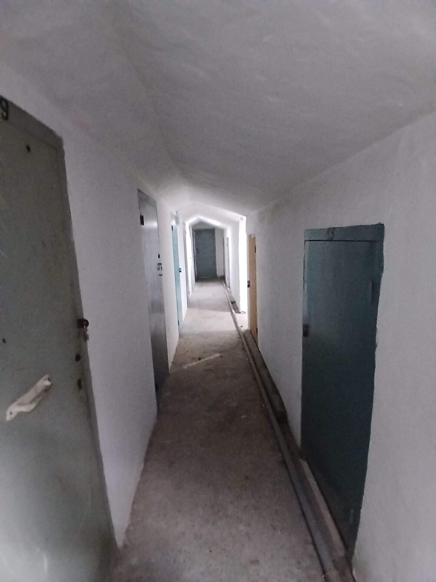 whatsapp image 2026 02 11 at 11.30.21 (1)