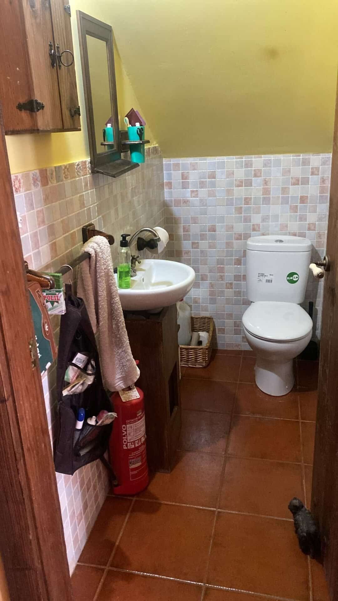 whatsapp image 2026 02 17 at 16.54.16