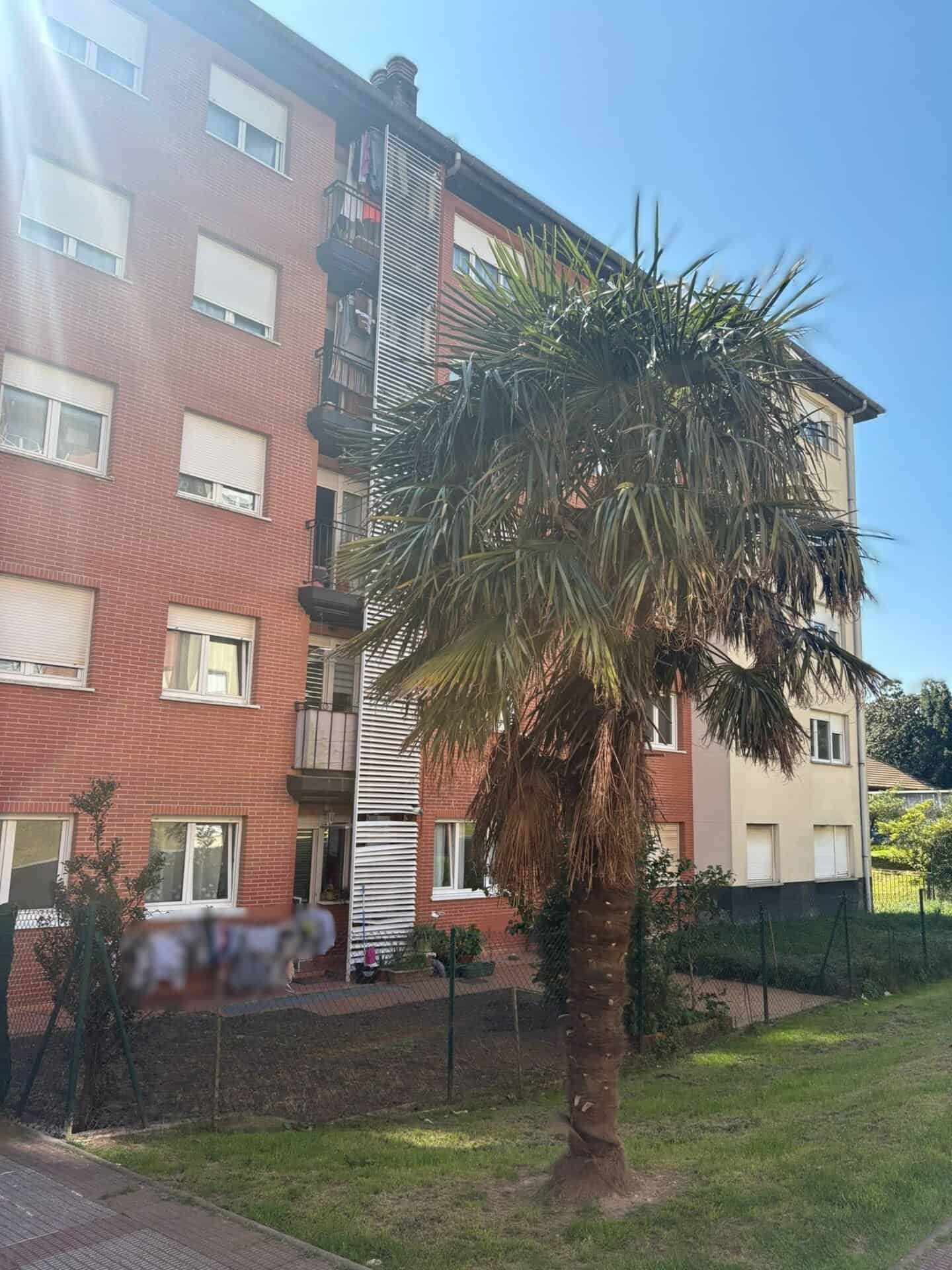 whatsapp image 2026 03 24 at 17.25.00